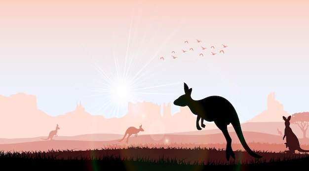 Silhouette kangaroo in the evening