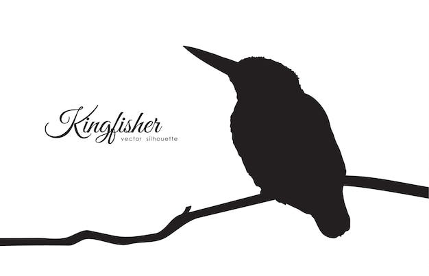 Vector silhouette of kingfisher sitting on a branch