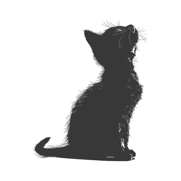 Vector silhouette kitten cute animal black color only full body