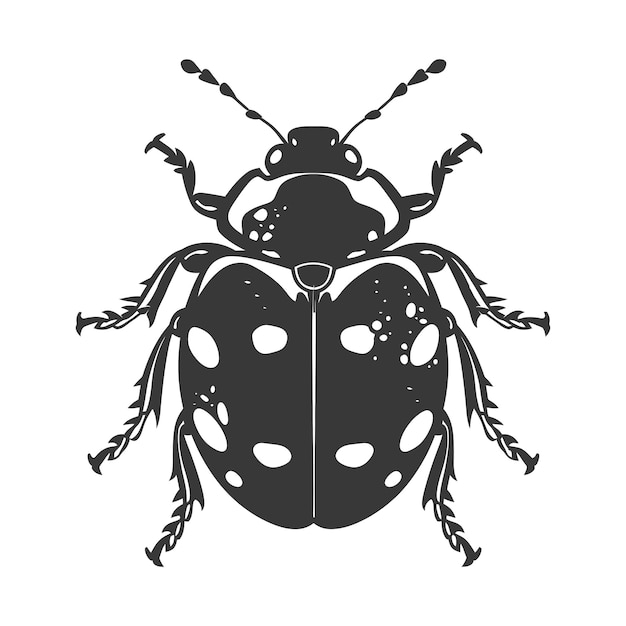 Vector silhouette ladybug animal fly black color only