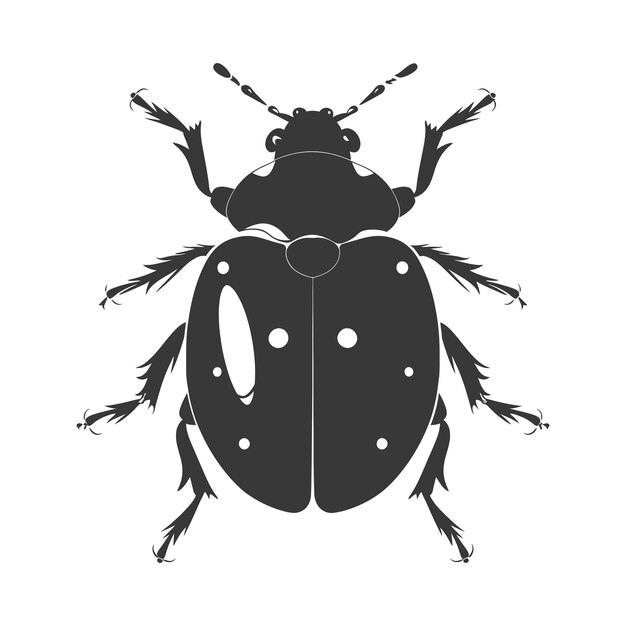 Vector silhouette ladybug animal fly black color only