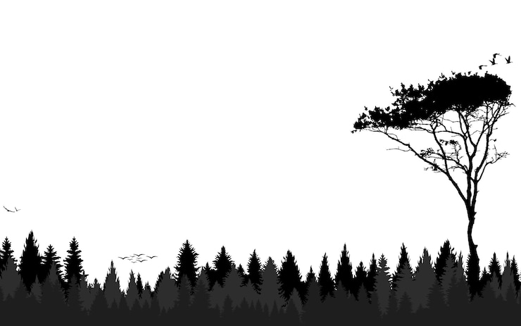 Vector silhouette landscape pine forest background jungle tree woods sky black amp white horizontal