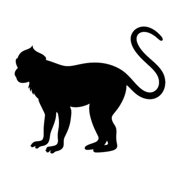 silhouette of a langur on white background