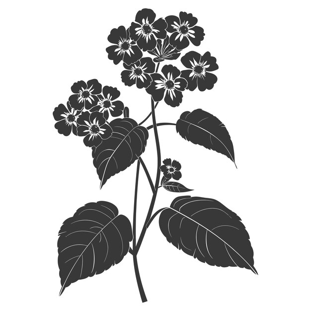 Vettore solo colore nero fiore di lantana a silhouette