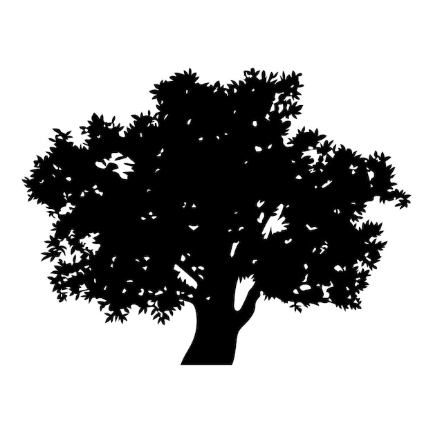 Silhouette of a large tree with a wide spreading crown