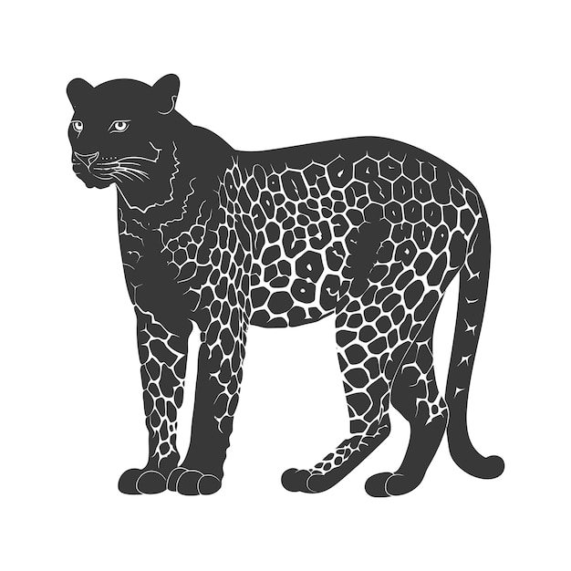 Vector silhouette leopard animal full body black color only