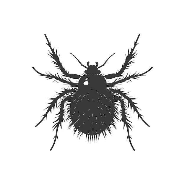 Vector silhouette lice animal black color only