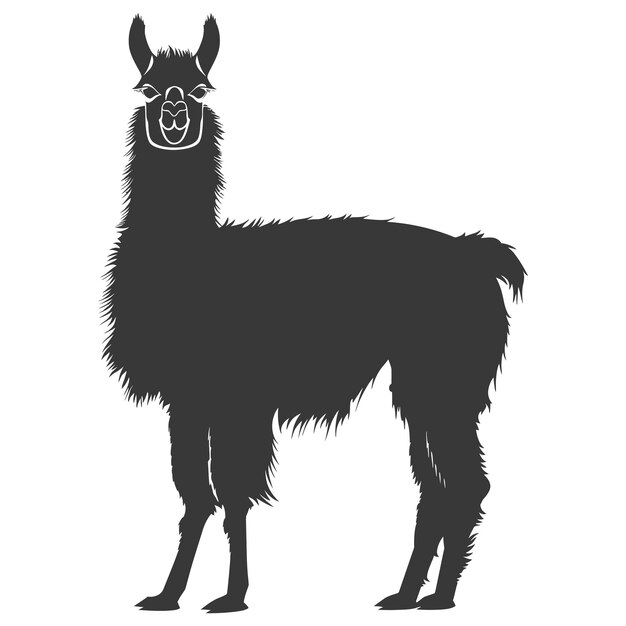 Силуэт ламы животное черный цвет только целое тело