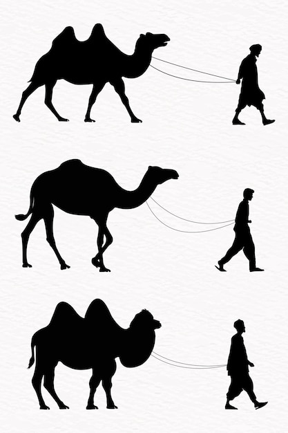 Vector silhouette of a man walking with camel