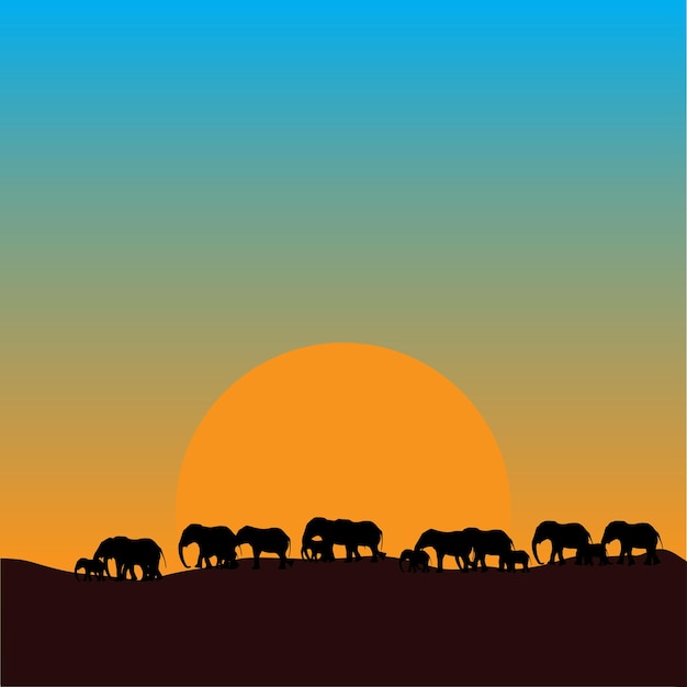 Silhouette of many elephants walking at sunset