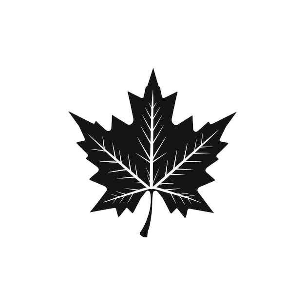 Vector silhouette of maple leaf