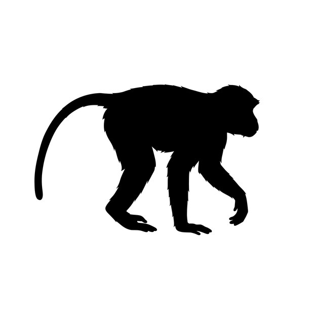 Silhouette of a Monkey Walking in Profile