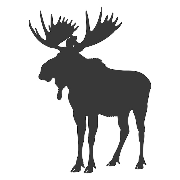 silhouette moose animal full body black color only