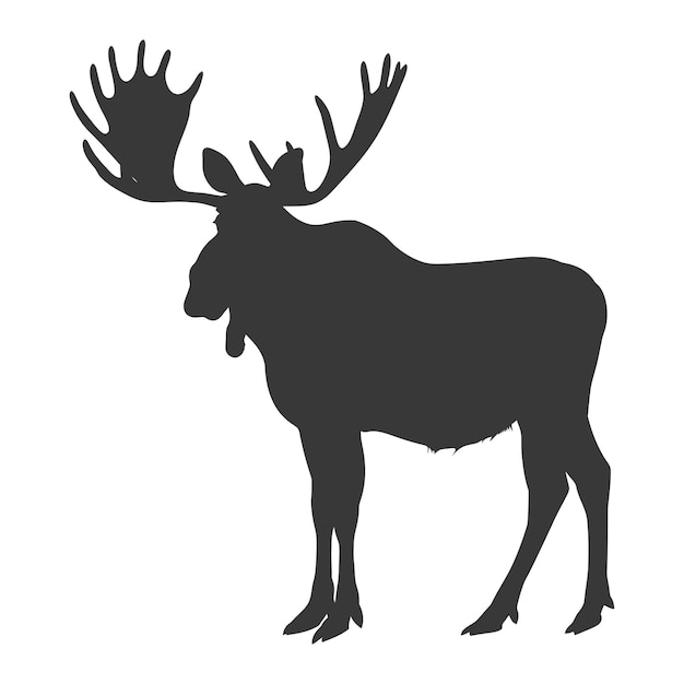 Vector silhouette moose animal full body black color only