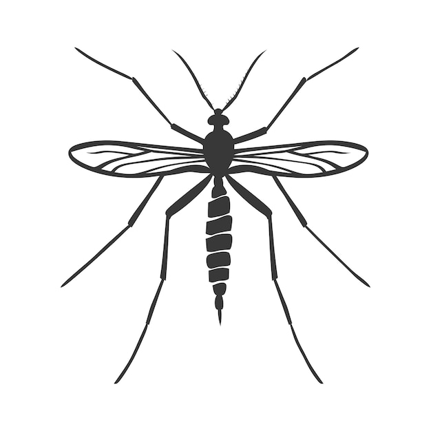 Silhouette mosquito animal black color only full body