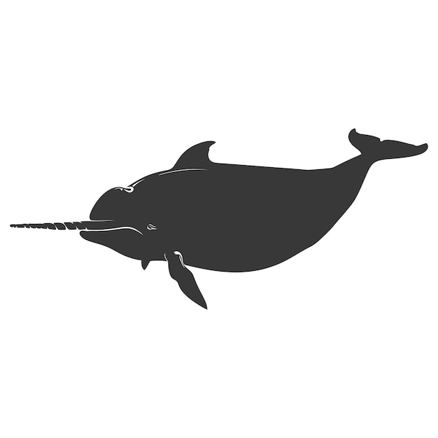 Vector silhouette narwhal animal black color only full body