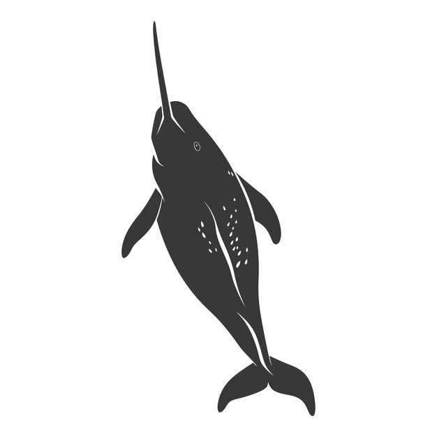 Vector silhouette narwhal animal black color only full body