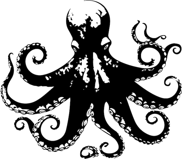 Vector silhouette octopus animal black image