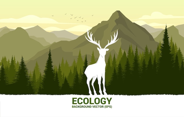 Силуэт большого оленя на фоне леса для естественной заботы и сохранения окружающей среды.
