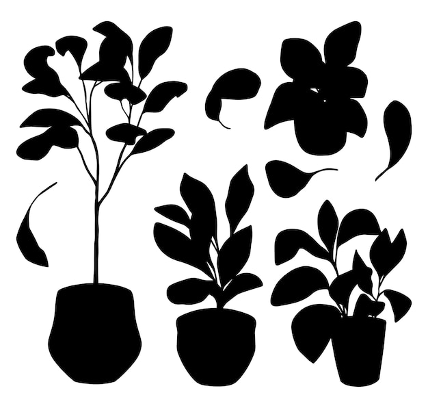Силуэт фиговых деревьев из листьев скрипки ручной рисунок коллекции векторных иллюстраций черные формы домашних растений, выделенные на белом ботанический клипарт для дизайнерского декора