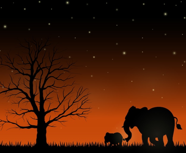 밤 배경에 어머니와 아기 코끼리의 실루엣