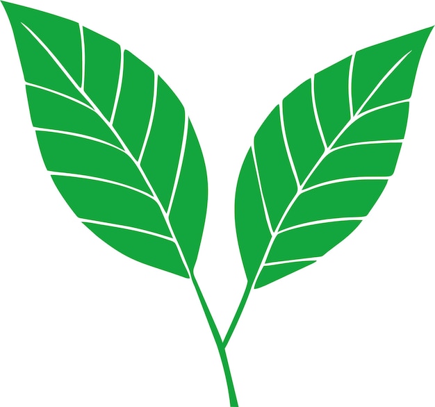 ベクトル フラット スタイルのベクトル図の木の葉のアイコンのシルエット