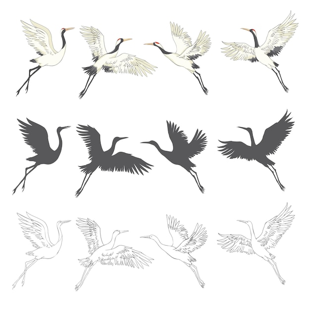 Вектор Силуэт или теневые черные чернила иконы журавлиных птиц или цапель, летящих и стоящих набор группа аистов наброски шаблона или творческий фон векторные иллюстрации, изолированные на белом фоне