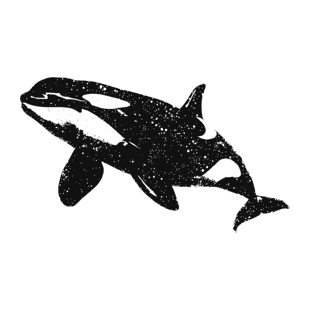 Silhouette the orca or killer whale black color only