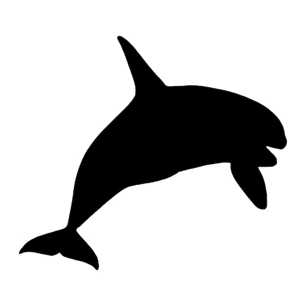 silhouette orca killer whales vector illustration