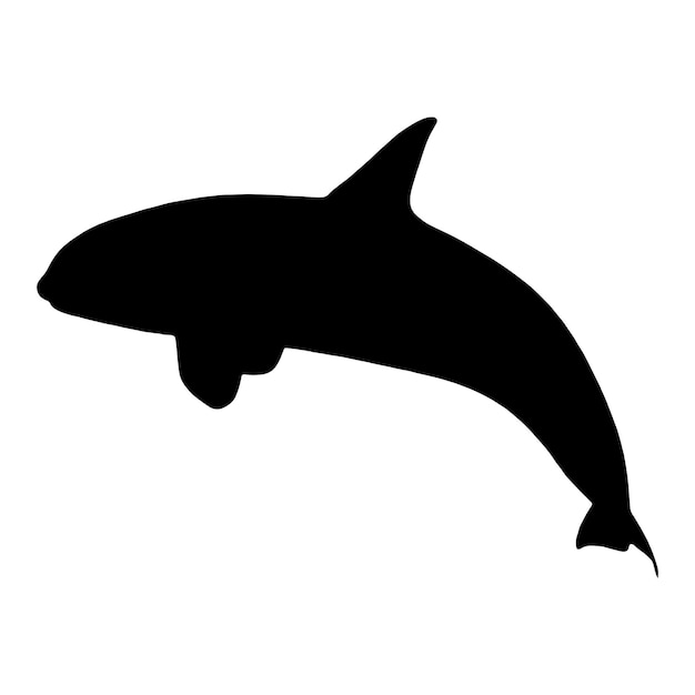 silhouette orca killer whales vector illustration