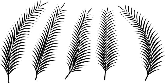 silhouette palm leaf icon set