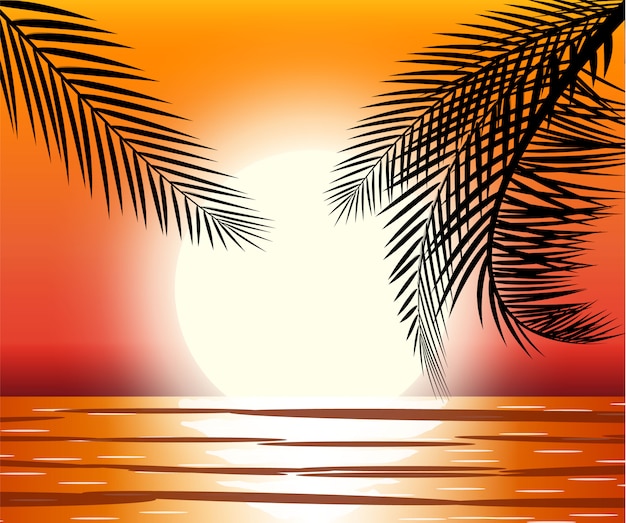 Silhouette of palm tree on beach.