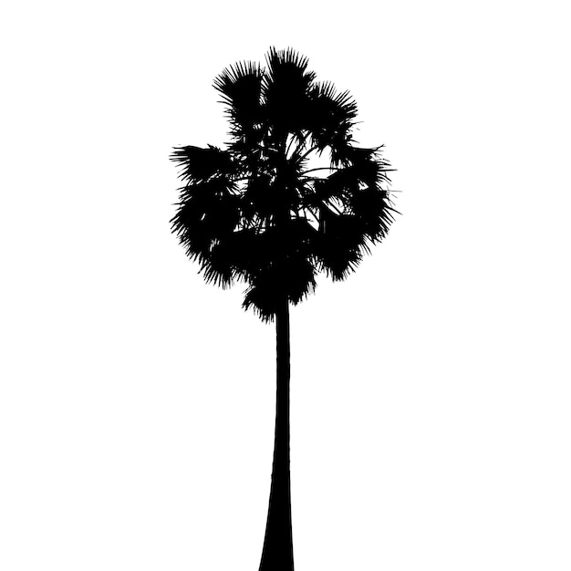  ⁇ 색 바탕에 놓인  ⁇ 나무의 실루 ⁇   ⁇ 터 아트 검은색