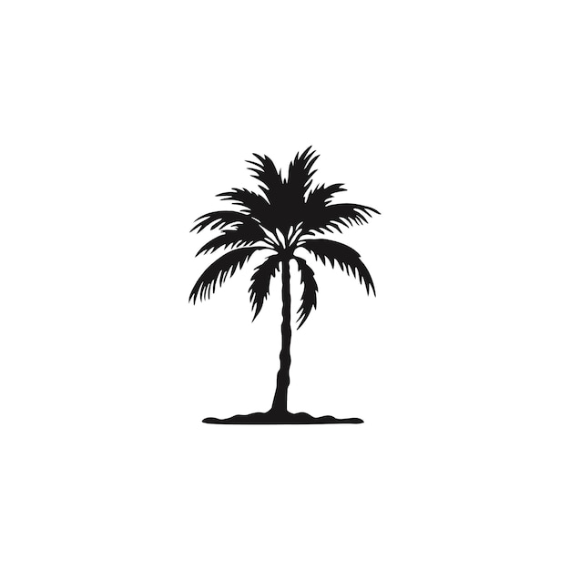 silhouette of palm tree