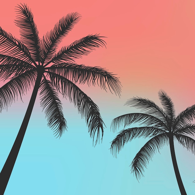 Vector silhouette palm trees background