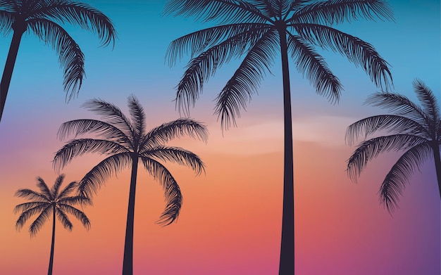 Vector silhouette palm trees background