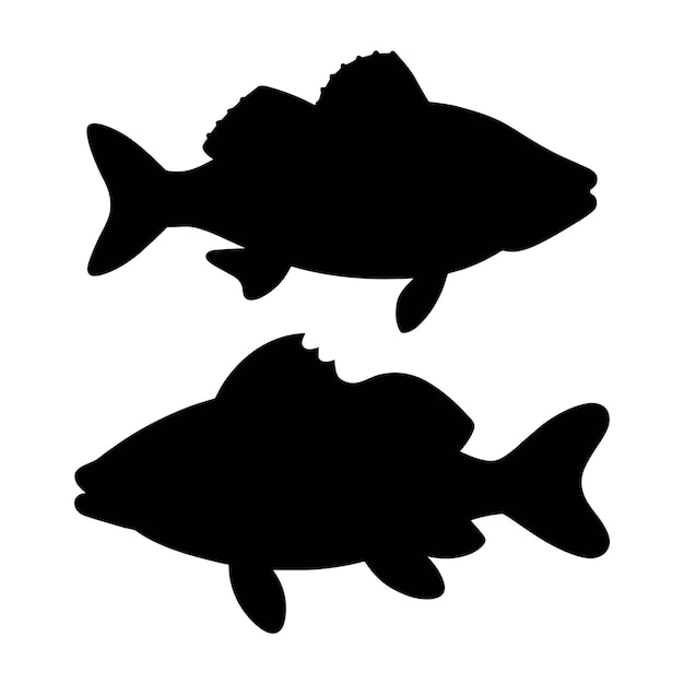 Vettore silhouette di un pesce perch su bianco