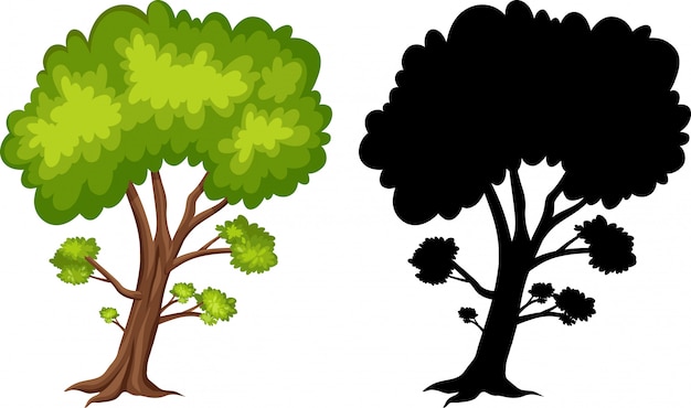 Vector silhouette pictures of big tree on white background