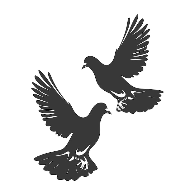 Vector silhouette pigeon bird animal fly couple pigeon black color only