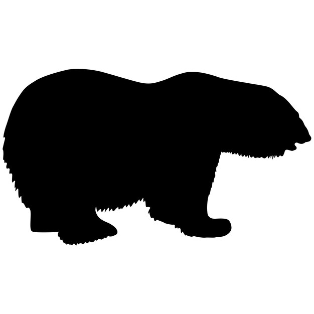 Vettore silhouette di orso polare su uno sfondo bianco