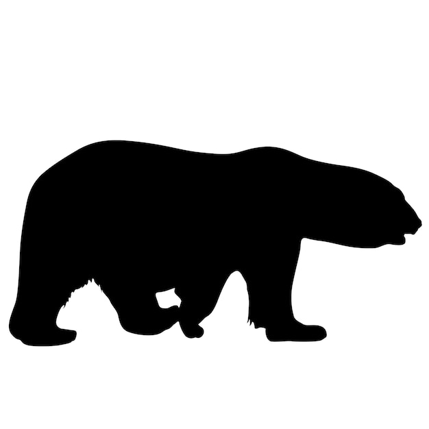 Vector silhouette polar bear on a white background