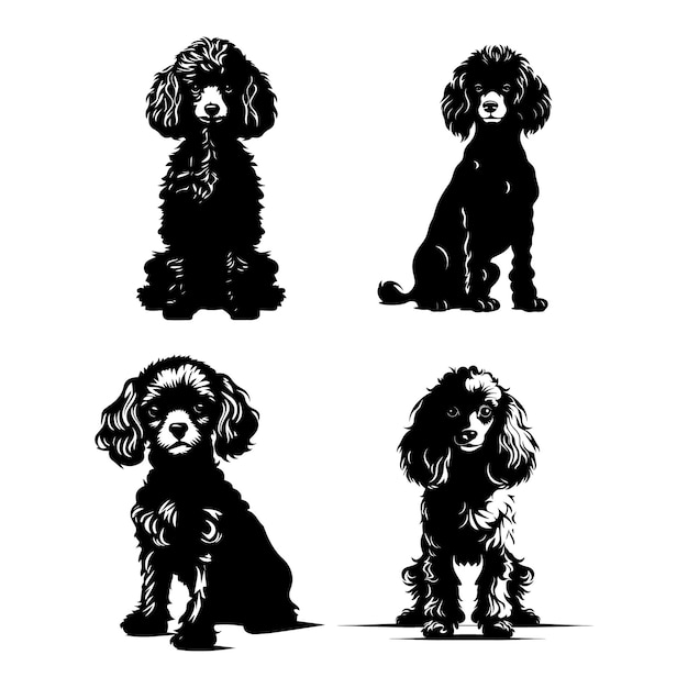 silhouette poodle dog cute logo vector