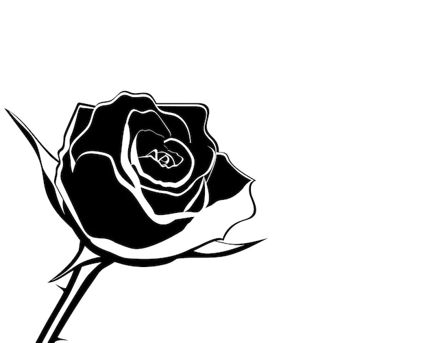 Silhouette of rose flower