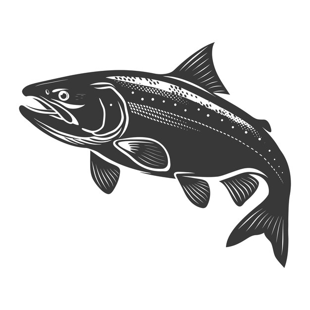 Vector silhouette salmon fish animal black color only full body