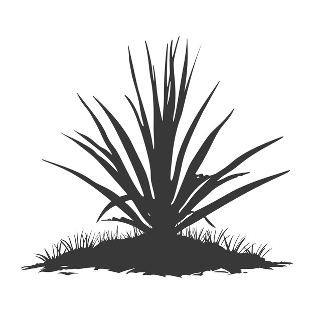 Silhouette Sansevieria tree in the ground black color only