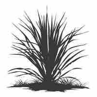 Vector silhouette sansevieria tree in the ground black color only