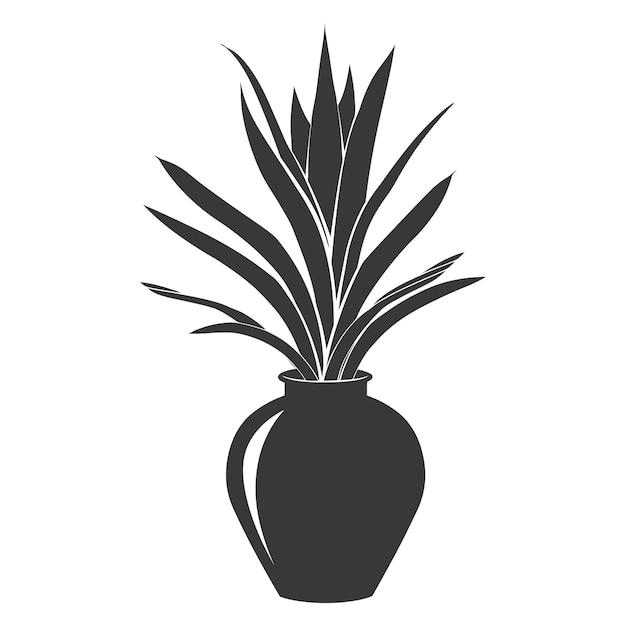 Vector silhouette sansevieria tree in the vase black color only