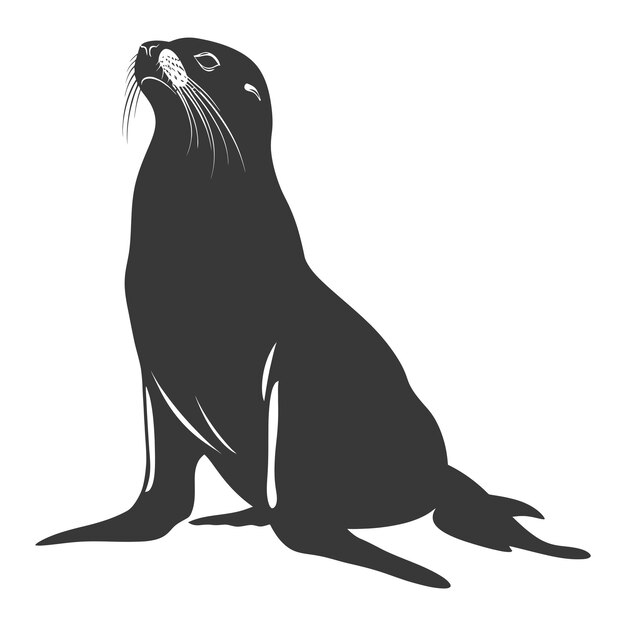 Vector silhouette sea lion animal black color only full body