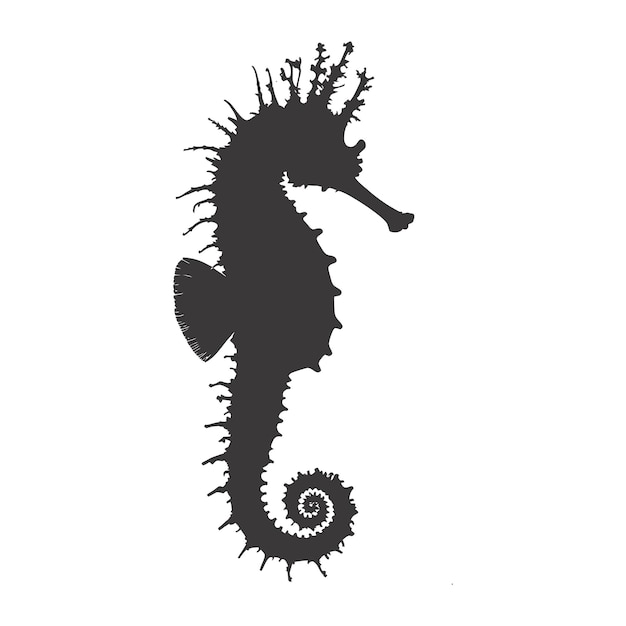 Silhouette seahorse animal black color only full body