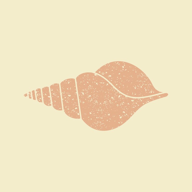 Vector silhouette of seashells